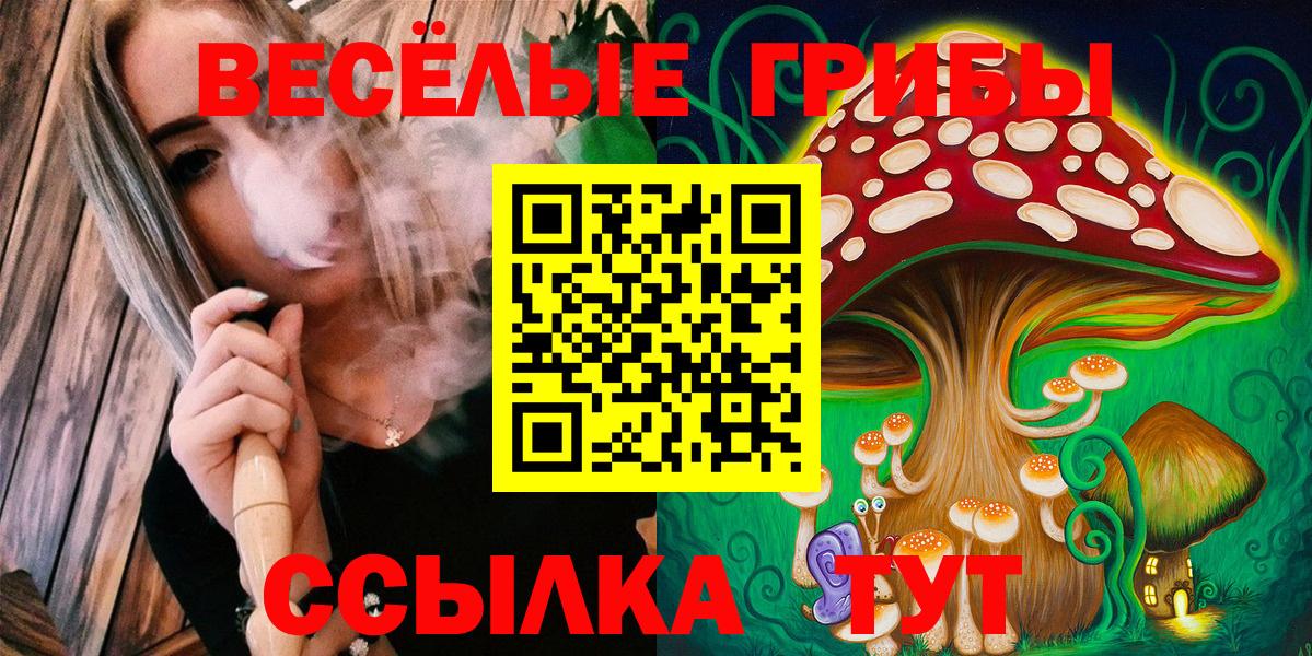 Азнакаево  Псилоцибиновые грибы Psilocybine cubensis  Галлюциногенные грибы MAGIC MUSHROOMS  Вход с VPN 