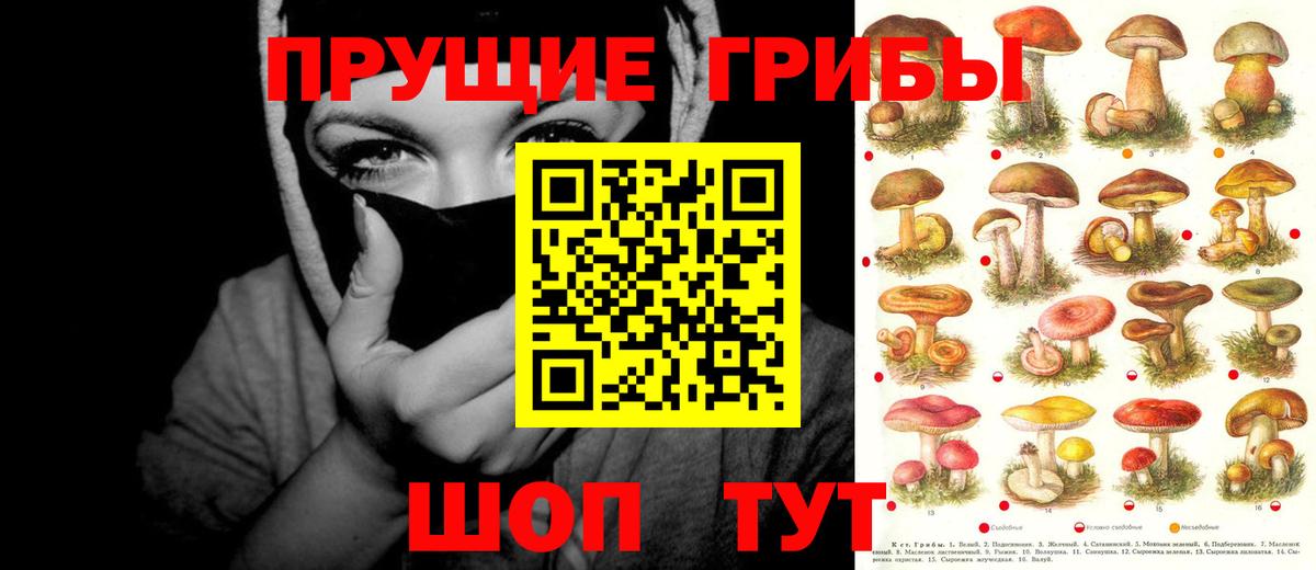 Псилоцибиновые грибы Psilocybe Азнакаево